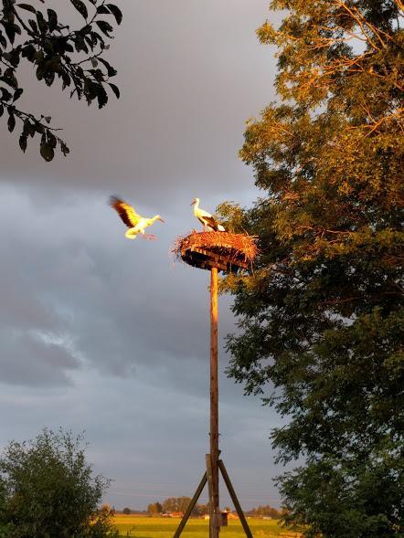 Achterhuis Hamingen Staphorst ภายนอก รูปภาพ